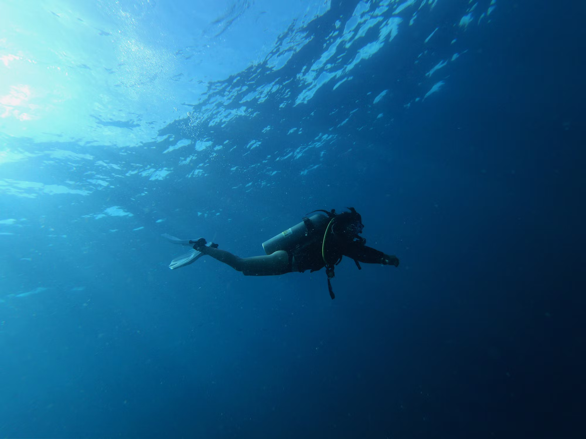 Diving into Adventure: A Guide to Underwater Exploration